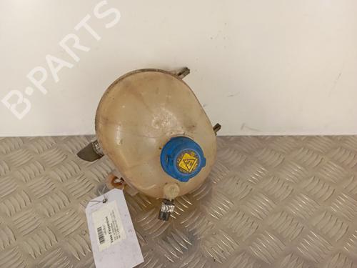 Used Expansion tank FIAT 500 (312_) 1.3 D Multijet (312AXE1A) (95 hp) 30008369