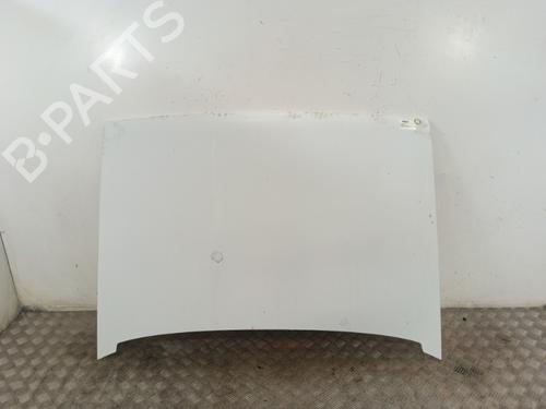 Used Hood RENAULT RAPID Box Body/MPV (F40_, G40_) 1.4 (F40D) (79 hp) 30008975