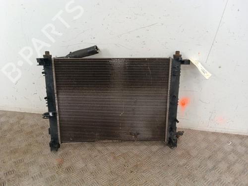 Køler DACIA DOKKER MPV (KE_) 1.2 TCe (KEM0, KEAY) | BP30009121M31