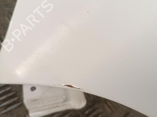 Left front fenders TOYOTA YARIS (_P1_) 1.4 D-4D (NLP10_, NLP10R) | BP30014695C41 