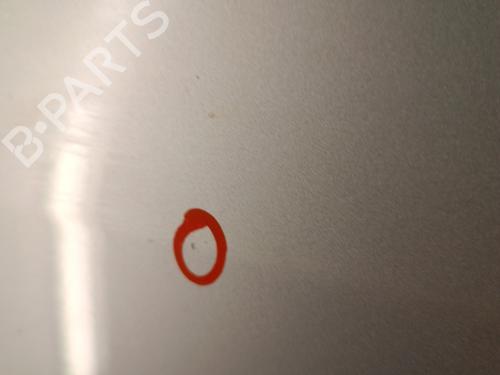 Drzwi przednie lewe RENAULT MEGANE II (BM0/1_, CM0/1_) 1.5 dCi (BM02, BM13, BM2A, CM02, CM13) | BP30008118C2 