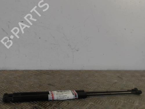Tailgate lift support PEUGEOT 207 (WA_, WC_) 1.6 HDi | BP30016956C138