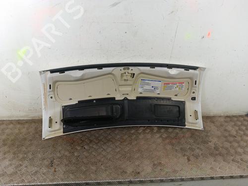 Hood PEUGEOT BOXER Van 2.2 HDi 120 | BP30008919C1