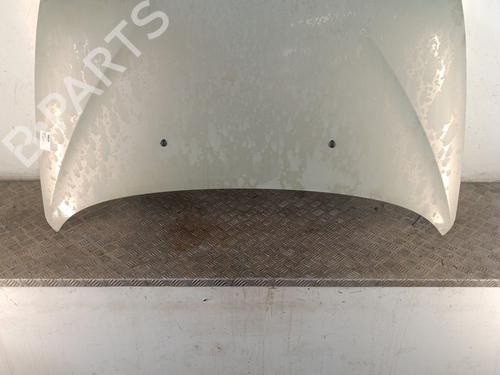 Capot Capot RENAULT MEGANE Scenic (JA0/1_) 1.9 dTi (JA0N) (98 hp) 31214969 31214969