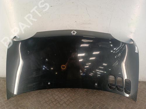Used Hood RENAULT TWINGO I (C06_) 1.2 (C066, C068) (58 hp) 30017621