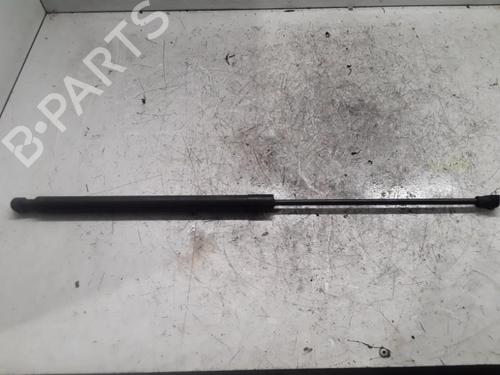 Used Hood lift support DACIA SANDERO II TCe 90 (B8M1, B8MA, B8AC) (90 hp) 30009590