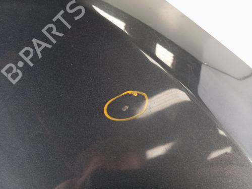 Hood RENAULT MEGANE III Grandtour (KZ0/1) 1.5 dCi (KZ09, KZ0D, KZ1G, KZ29, KZ14, KZ1W, KZ10, KZ1F,... | BP30012062C1