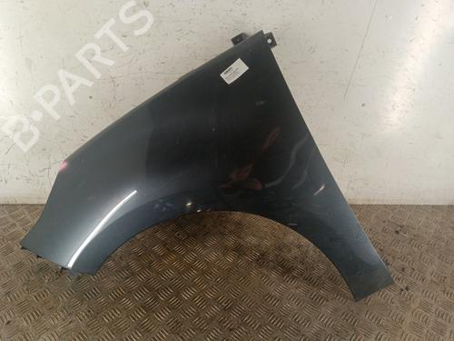 Guarda-lamas esquerdo RENAULT GRAND SCÉNIC III (JZ0/1_) 1.5 dCi (JZ09, JZ0D, JZ10, JZ14, JZ1G, JZ29, JZ2C) (110 hp) 30014045