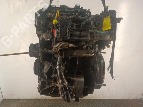Engine RENAULT MASTER III Van (FV) 2.3 dCi 125 FWD (FV0C, FV0D, FV0G, FV0H, FV0J, FV0K,... | BP37035547M1 - Image 6