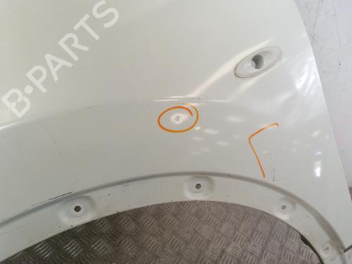 Left front fenders NISSAN QASHQAI I (J10, NJ10) 1.5 dCi | BP30014987C41 