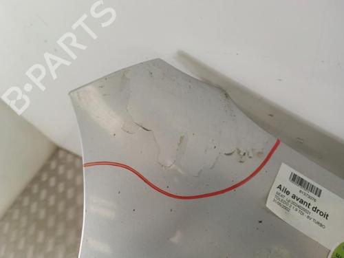 Used Right front fenders SEAT TOLEDO II (1M2) 1.9 TDI (90 hp) 30009526