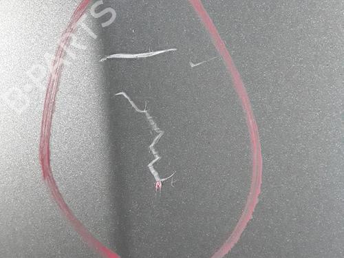 Used Hood BMW X3 (E83) 2.0 d (150 hp) 30021949