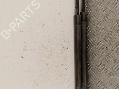 Gassdemper Bakluke Gassdemper Bakluke RENAULT SCÉNIC III (JZ0/1_) 1.5 dCi (110 hp) 36419507 36419507