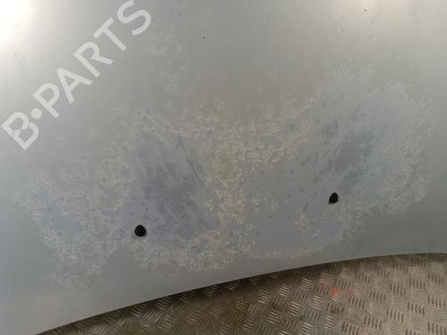 Hood RENAULT MEGANE I (BA0/1_) 1.9 dCi (BA05, BA1F) | BP30018421C1 