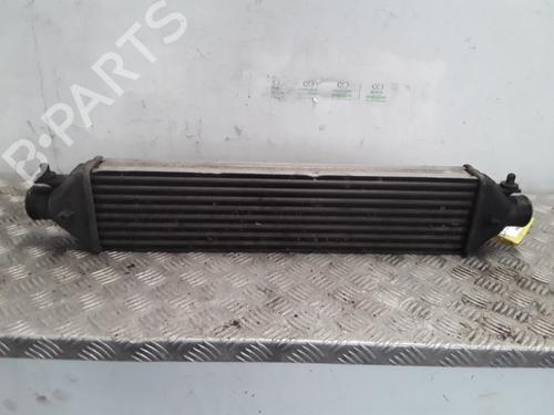 Intercooler Intercooler FIAT BRAVO II (198_) 1.6 D Multijet (198AXL1B) (120 hp) 33693627 33693627