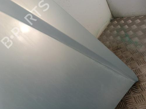Used Hood Hood 30008979 30008979