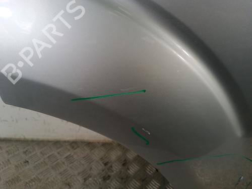 Right rear door NISSAN PATHFINDER III (R51) 2.5 dCi 4WD | BP30012841C5