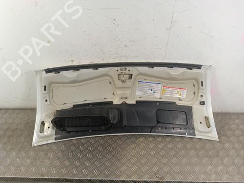 Hood FIAT DUCATO Van (250_) 160 Multijet 3,0 D | BP30020710C1 