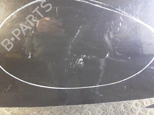 Left rear door DACIA SANDERO 1.4 (BS0C, BS0A, BS0G, BS1F, BS0E) | BP30027126C4