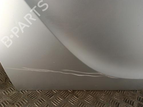 Drzwi przednie lewe OPEL MERIVA B MPV (S10) 1.4 (75) | BP30014478C2