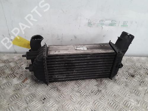 Intercooler PEUGEOT 3008 I MPV (0U_) 2.0 HDi Hybrid4 (0URHCA) | BP30013270M30