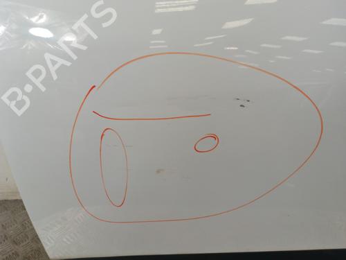 Left front door RENAULT SCÉNIC III (JZ0/1_) 1.5 dCi (JZ02, JZ0R) | BP30018856C2 