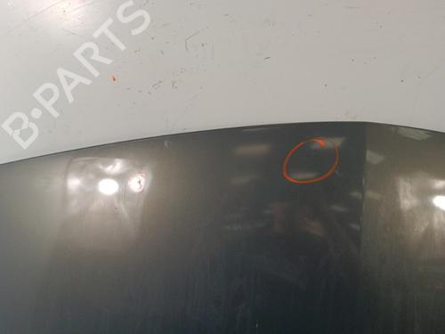 Hood RENAULT MEGANE II (BM0/1_, CM0/1_) 1.5 dCi (BM1E, CM1E) | BP30013119C1 
