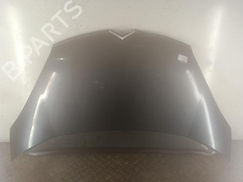 Panser CITROËN C4 Picasso I MPV (UD_) 2.0 HDi 138 (136 hp) 30022682