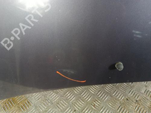 Capot RENAULT TWINGO I (C06_) 1.2 (C066, C068) | BP30026158C1 