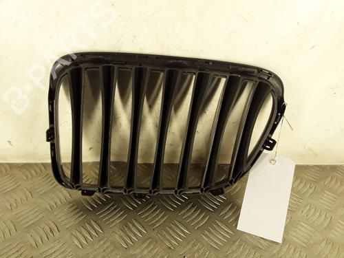 Used Grille Grille BMW X1 (E84) sDrive 20 d (177 hp) 30126117 30126117