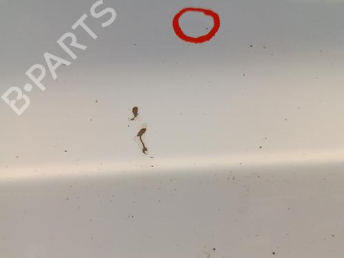 Venstre lasterom dør CITROËN JUMPY II Van 1.6 HDi 90 16V | BP30012222C76 