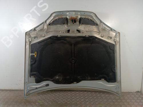 Hood RENAULT MEGANE I (BA0/1_) 1.9 dCi (BA05, BA1F) | BP30018421C1 