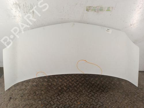 Used Hood RENAULT KANGOO / GRAND KANGOO II (KW0/1_) 1.5 dCi 90 (KW05, KW08, KW0G, KW11) (90 hp) 30023115