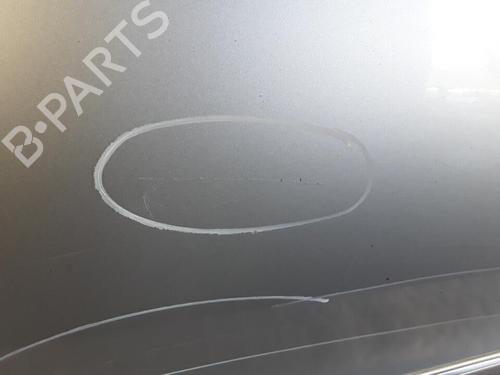 Left rear door MERCEDES-BENZ E-CLASS (W211) E 220 CDI (211.006) | BP30027219C4