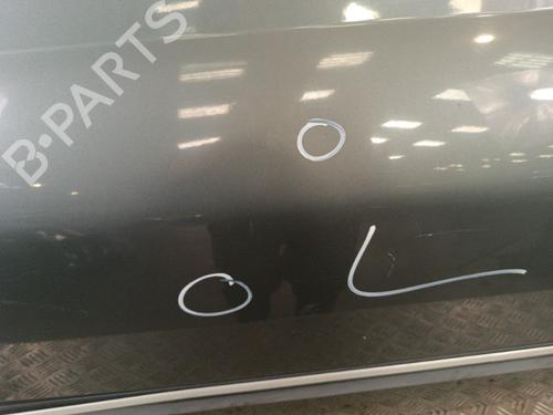 Left front door PEUGEOT 406 (8B) 2.0 HDI 110 | BP30009130C2