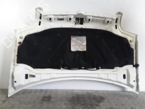 Used Hood FIAT DOBLO Box Body/MPV (223_) 1.9 JTD (105 hp) 30022143