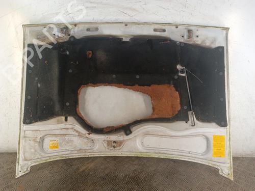 Hood RENAULT RAPID Box Body/MPV (F40_, G40_) 1.4 (F40D) | BP30011911C1