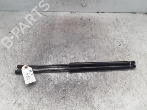 Used Tailgate lift support RENAULT CLIO V (B7_) 1.0 TCe 90 (B7MT) (91 hp) 30012993