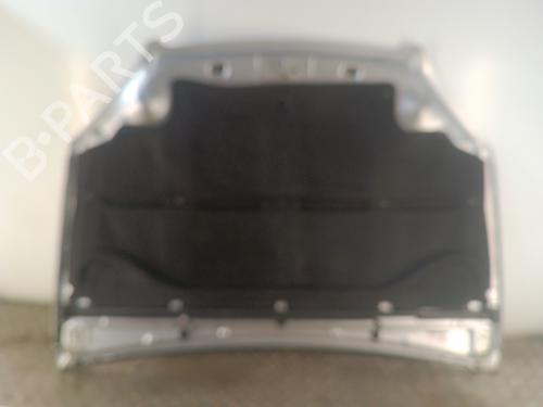 Hood CITROËN C5 I (DC_) 2.0 16V (DCRFNC, DCRFNF) | BP30025499C1 