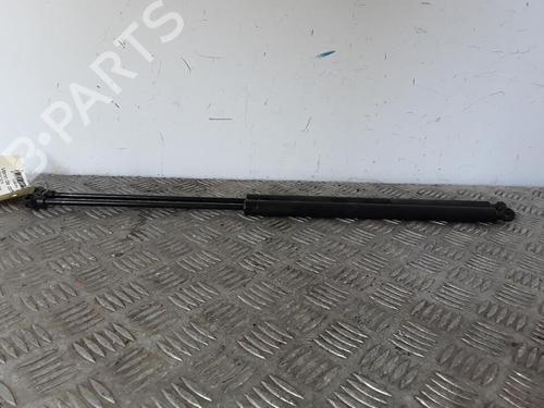 Tailgate lift support CITROËN SAXO (S0, S1) 1.5 D | BP30016792C138 