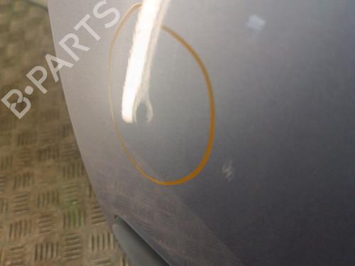 Left front door CITROËN C3 I (FC_, FN_) 1.4 i | BP30014196C2 