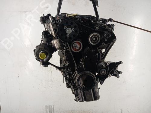 Engine AUDI Q5 (8RB) 2.0 TDI quattro | BP40432885M1 - Image 5