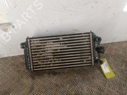 Intercooler Intercooler PEUGEOT 208 II (UB_, UP_, UW_, UJ_) [2019-2026] 33693195 33693195