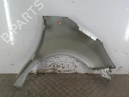 left-front-fenders-citroen-c3-ii-sc_-2009-39460222 main image