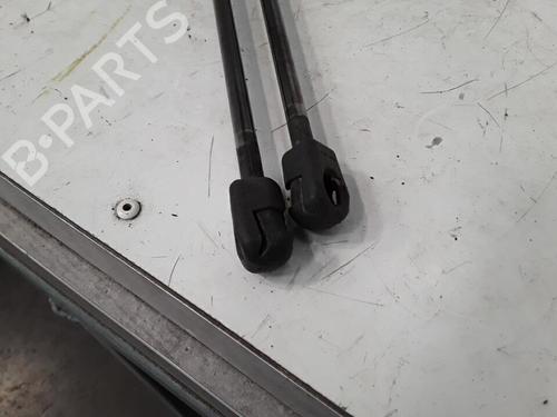 Used Tailgate lift support FORD S-MAX (WA6) 1.8 TDCi (125 hp) 30015957