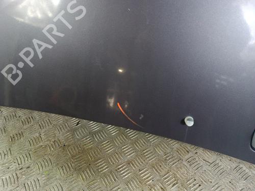 Capot RENAULT TWINGO I (C06_) 1.2 (C066, C068) | BP30026158C1 