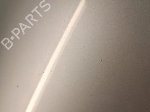 Hood RENAULT SCÉNIC III (JZ0/1_) 1.5 dCi | BP30017190C1 