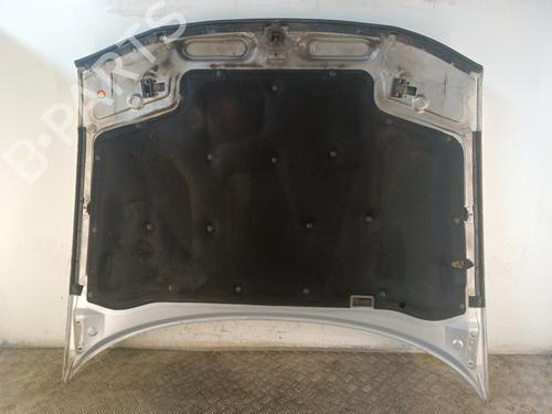 Hood RENAULT SAFRANE II (B54_) 2.2 dT (B54G) | BP30025100C1 