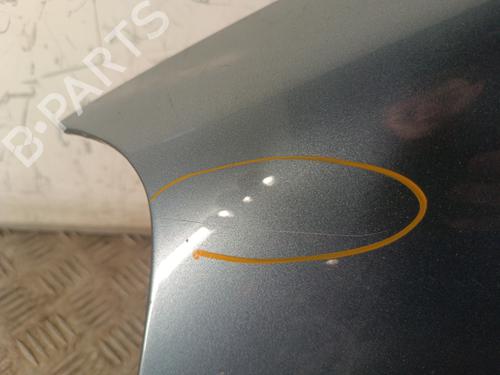 Left front fenders PEUGEOT PARTNER MPV (5_, G_) 1.6 HDi 90 | BP30011933C41 