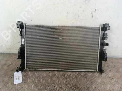 Køler RENAULT SCENIC E-TECH PHASE I EV87 (218 hp) 30026161